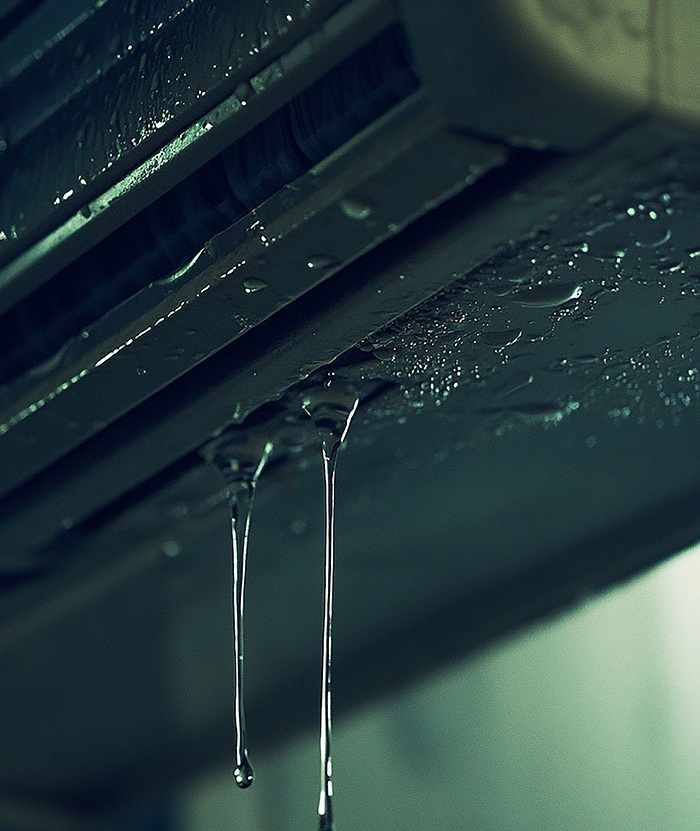 Water dripping off a ledge